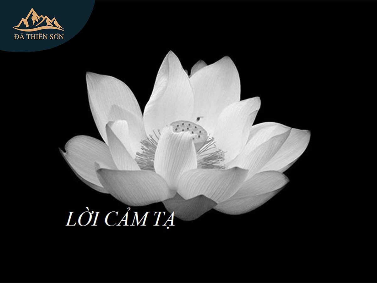 mau-loi-cam-ta-sau-tang-le-hay-nhat-2