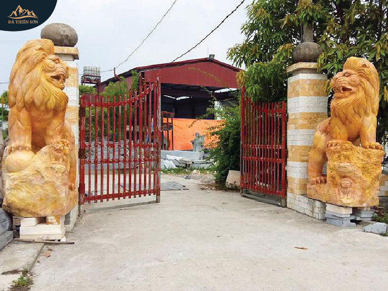 Cặp sư tử đá vàng cao lớn đặt trước cổng nhà