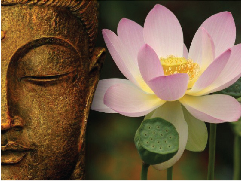 Hoa sen đã gắn liền với hình ảnh Phật từ lâu đời